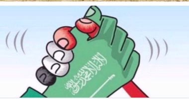 النائب أحمد إسماعيل صبرة: زيارة ولي العهد السعودي تؤكد وحدة الرؤية المصرية السعودية