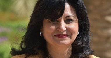 أستاذ علوم سياسية: مصر استعادت مكانتها الإقليمية والدولية بعد 30 يونيو