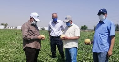 رئيس مركز البحوث الزراعية: لا مبررات علمية لحملات التشكيك فى الدواجن والبيض
