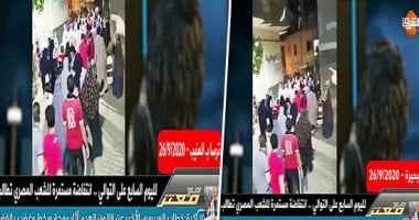 ملايين الدولارات مقابل الأكاذيب ضد مصر.. باحث يفضح سبوبة إعلام الإخوان
