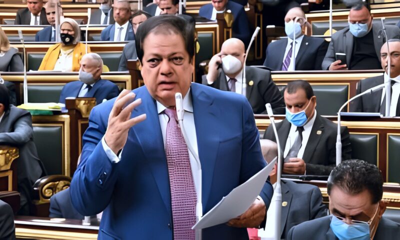 أبوالعينين: اعتراض الرئيس على المادة 25 من قانون جامعة كيان يحقق المساواة