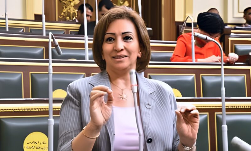 مها عبد الناصر تطالب بإلغاء ضريبة الجدول على خدمات الإنترنت