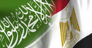 اللجنة الفنية المصرية السعودية للنقل البحري تبحث تعزيز التكامل بين موانئ البلدين