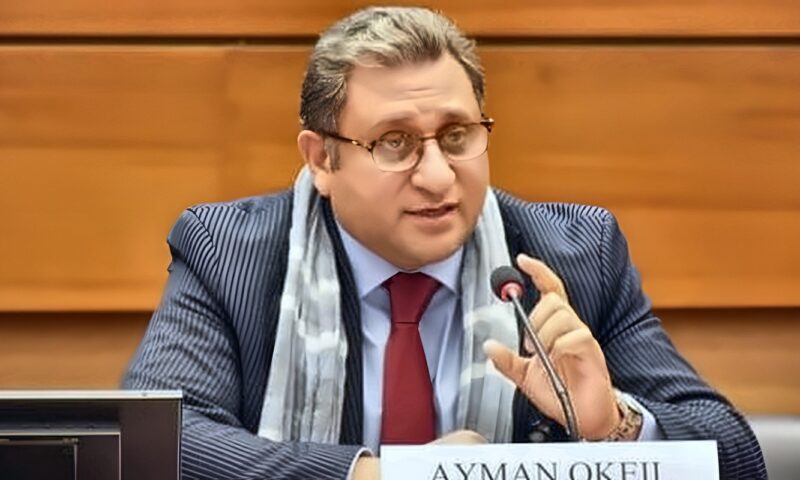 ماعت تدعو لخفض تصنيف اللجنة الإثيوبية لحقوق الإنسان لعدم الامتثال لمبادئ باريس