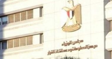 وكالة فيتش: التركيبة السكانية المصرية داعمة لتطور قطاع التجارة الإلكترونية
