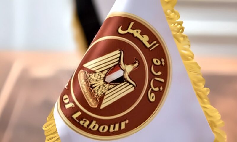 وزارة العمل: 100 فرصة عمل موسمية بالزراعة في إسبانيا براتب 64 ألف جنيه شهريا