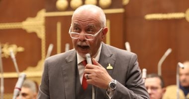 حازم الجندى: إعادة تشكيل خريطة التخصصات الجامعية يعزز «اقتصاد المهارات»