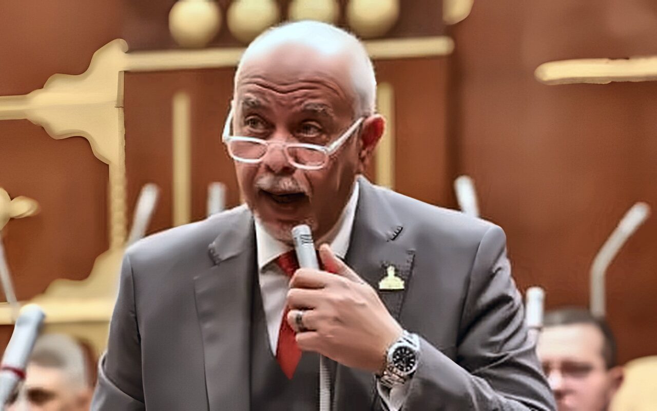 حازم الجندى: جولة الرئيس السيسي الآسيوية تعكس رؤية متكاملة لتنويع الشراكات