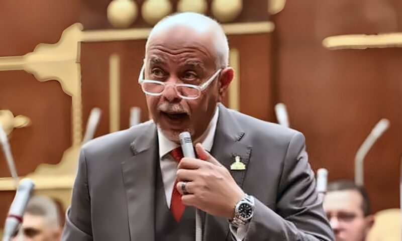 حازم الجندى: جولة الرئيس السيسي الآسيوية تعكس رؤية متكاملة لتنويع الشراكات