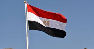 دبلوماسية متعددة الجبهات.. كيف دعمت مصر غزة رغم تزايد أزمات الإقليم؟