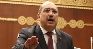 نائب بالشيوخ: زيارة الرئيس الصينى لمصر تفتح آفاقًا جديدة للاستثمار
