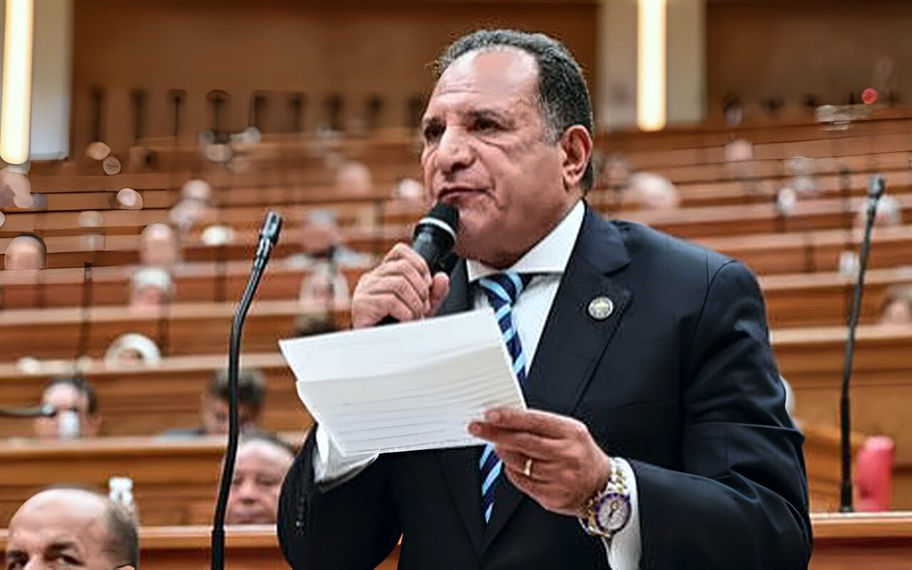 شئون عربية النواب: كلمة الرئيس فى العلمين وضعت خارطة طريق للتكامل الأفريقى