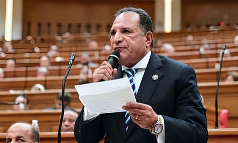 شئون عربية النواب: كلمة الرئيس فى العلمين وضعت خارطة طريق للتكامل الأفريقى
