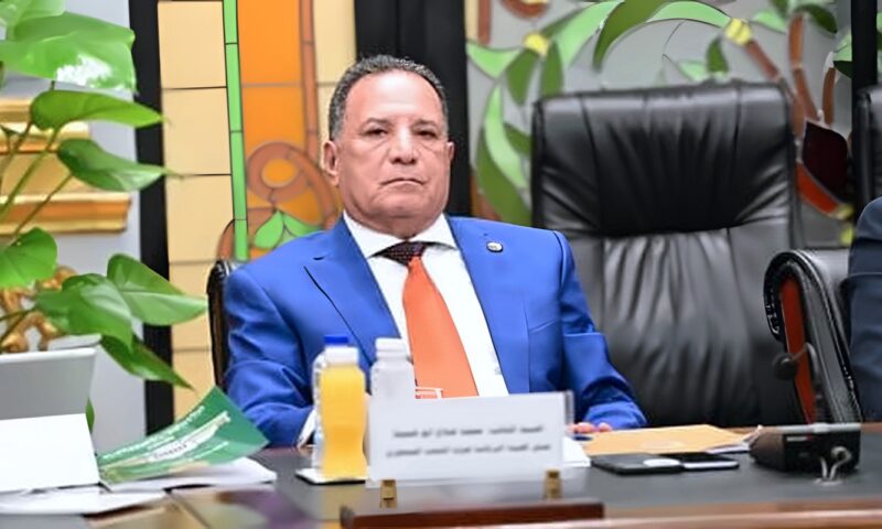 شئون عربية النواب: جولة الرئيس الآسيوية تدعم تحويل مصر لمركز عالمى للصناعة