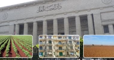 النقض: بيع الشريك لحصة مفرزة من المال الشائع ليس باطلًا لمجرد عدم حصول القسمة