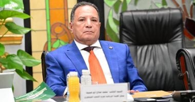 رئيس «شئون عربية النواب»: مصر والسعودية كيان واحد يرسم نظاما عربيا جديدا