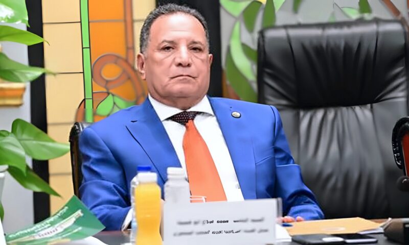 الشئون العربية بالنواب: جولة الرئيس الآسيوية نقلة استراتيجية تعزز مكانة مصر
