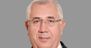 السيد القصير: العلاقات المصرية الإماراتية نموذج للشراكة الاستراتيجية