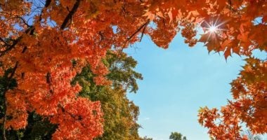 وداعا الأجواء الحارة.. فصل الخريف يبدأ رسميا غدا ويستمر 89 يوما و20 ساعة