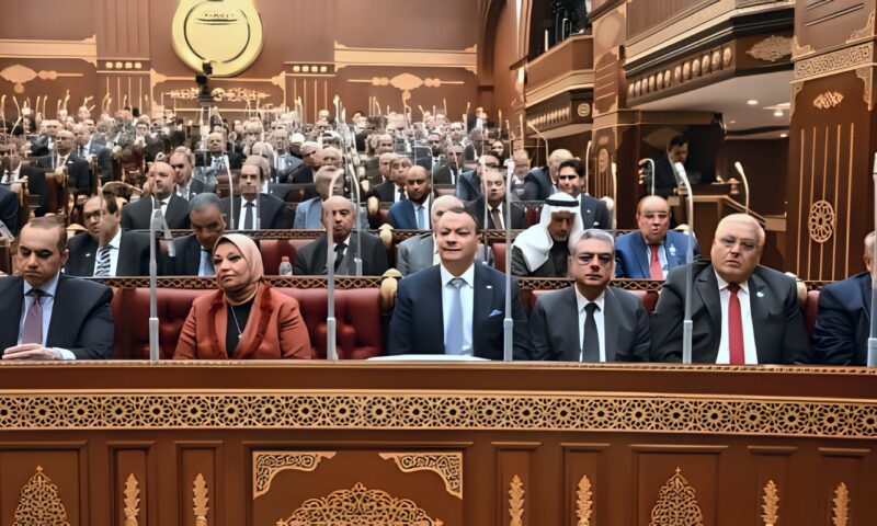 مصادر برلمانية: هشام الششتاوى رئيسًا للجنة الصحة والسكان بمجلس الشيوخ