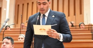 اتصالات النواب: التشاور المصري الإماراتي يعزز الأمن الإقليمي ويؤكد عمق العلاقات