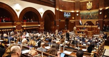 عضو بمجلس الشيوخ: مصر كانت وستظل طرفا رئيسيا فى معادلة الاستقرار الإقليمى