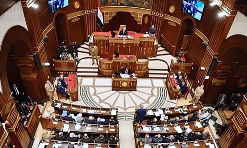 38 ألف شركة خاصة.. قفزة فى تأسيس الشركات ورؤوس الأموال بمصر خلال 5 سنوات