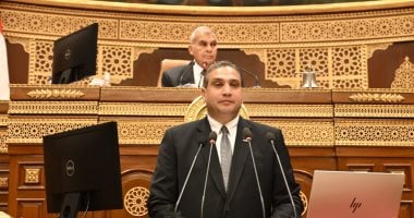 عماد خليل: خطة التنمية الاقتصادية والاجتماعية وضعت فى ظروف جيوسياسية صعبة
