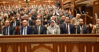 حفظ طلب رفع الحصانة عن عضو بالشيوخ لعدم توافر الشروط