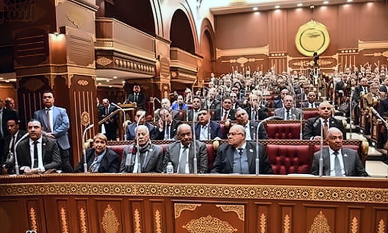 «تنسيقية شباب الأحزاب» تحصد 3 مقاعد بهيئات مكاتب لجان الشيوخ