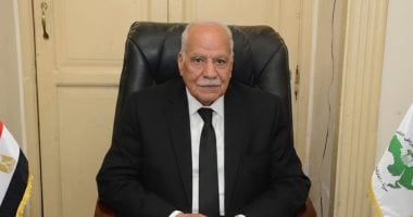 الحزب العربى الناصرى: فض رابعة حسم إرادة الشعب وحمى الدولة من الفوضى