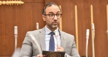 بعد قرار وقف الخدمات.. الحمامصى يطالب بإجراءات رادعة ضد معرقلى الرؤية