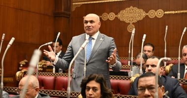 نائب: الدبلوماسية المصرية رسمت مسارًا آمنًا لإنهاء معاناة غزة وبدء الإعمار