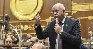 حازم الجندى: النسخة السابعة من مؤتمر المصريين بالخارج تعزز المشاركة الوطنية