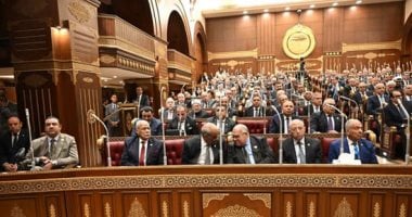 وكيل زراعة الشيوخ: تحركات الرئيس السيسى أعادت للقاهرة دورها كصمام أمان للمنطقة