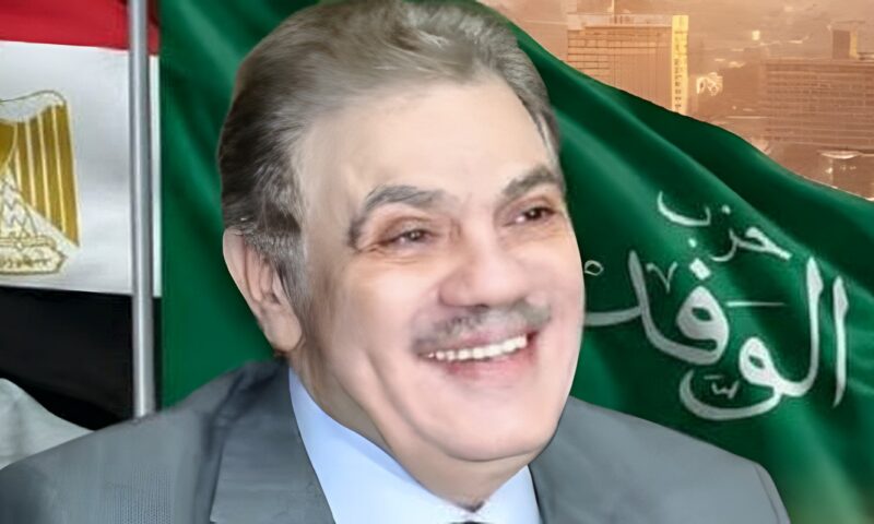 حزب الوفد يعلن المستشار بهجت الحسامى متحدثًا رسميًا باسم الحزب