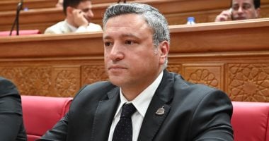 النائب يوسف رشدان: الرئيس السيسى يقود تحركًا مصريًا لحماية الأمن العربى