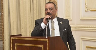 برلمانى: ثوابت الدولة ومصالحها الوطنية تحكم تحركات مصر الخارجية
