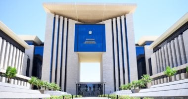 الخارجية تواصل جهودها للإفراج عن البحارة المصريين المحتجزين قبالة الصومال