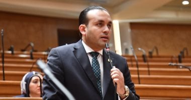 نائب: توجيهات الرئيس بحماية الأطفال من إساءة استخدام السوشيال تؤكد بناء جيل واع