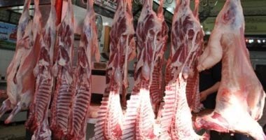 معايير من “تنمية الثروة الحيوانية” لضمان جودة اللحوم.. اعرف عليها