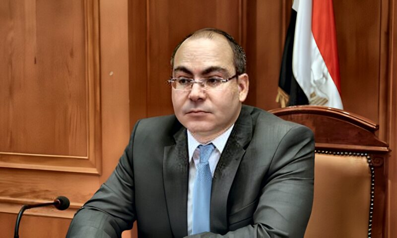 النائب محمد رشوان: الرئيس السيسي يؤكد استمرار التزام مصر بقضايا أفريقيا