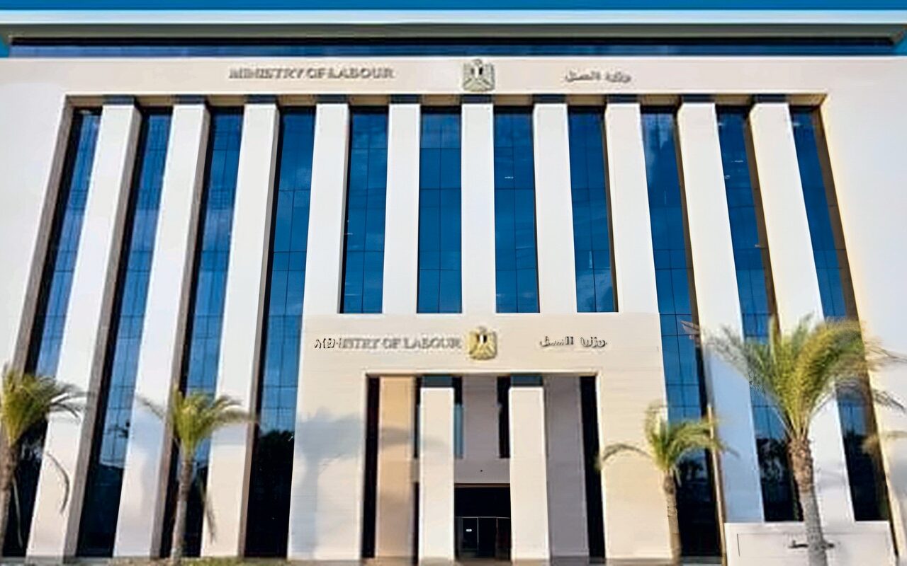 تعرف على تشكيل المجلس الأعلى لتنمية مهارات الموارد البشرية بالقانون