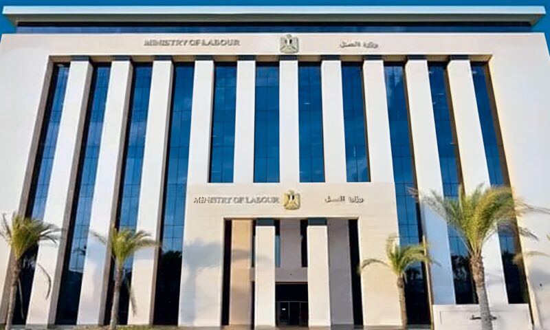 تعرف على تشكيل المجلس الأعلى لتنمية مهارات الموارد البشرية بالقانون