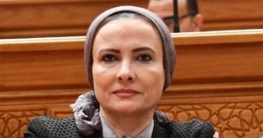 النائبة نشوة عقل: حضور الرئيس السيسي قمة السبع يعكس نجاح مصر في بناء شراكات دولية متوازنة