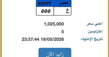 عايز لوحتك باسمك أو بأرقام مميزة؟.. اعرف خطوات حجز وتكوين لوحة سيارتك