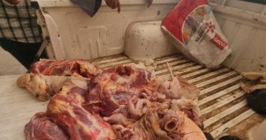 حقيقة ضبط لحوم كلاب مجهزة للاستهلاك فى الجيزة.. بيان رسمى يحسم الجدل