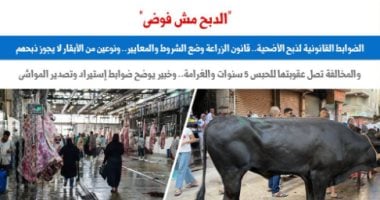 الدبح مش فوضى.. الضوابط القانونية لذبح الأضحية.. عن «برلماني»