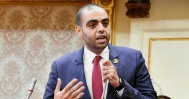 النائب حسن عمر حسنين: مبادرة اليوم السابع لتخليد ذكرى شهداء الوطن عمل وطنى مهم