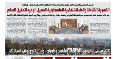 غدا فى اليوم السابع.. مصر تواصل جهودها لخفض التصعيد ودعم مسار المفاوضات